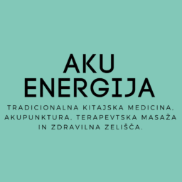 256x256 Aku Logo Green