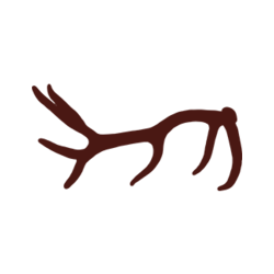 256x256 android chrome