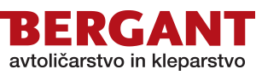 256x256 bergant avtolicarstvo