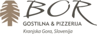 200x200 logo gostilna Bor color