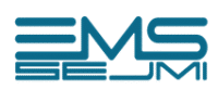 200x200 LOGO EMS moder2